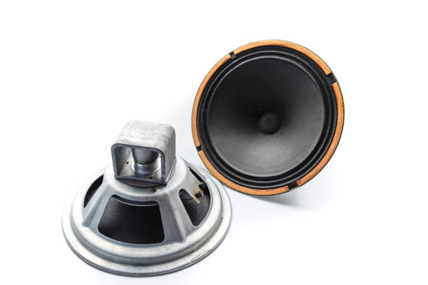 istock an Antique Soviet woofer 5gd-3 from vintage acoustics Symphony. 1255449406