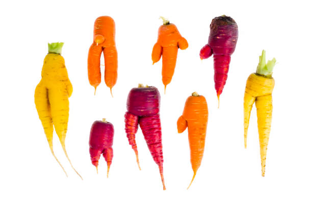 istock Ugly, deformed fresh organic carrots different color 1255454240