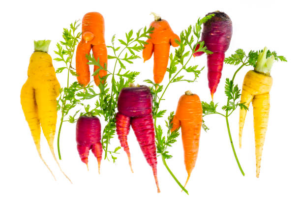 istock Ugly, deformed fresh organic carrots different color 1255454247