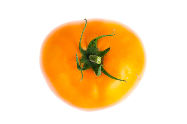 istock One yellow fresh bio tomato isolated on white background 1255454434