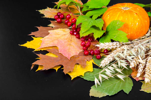 istock Autumn composition of dry leaves, spikelets, pumpkins. 1255454639
