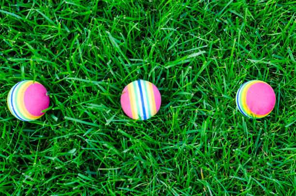 istock Colored little balls for cats, dogs on green grass. 1255454751