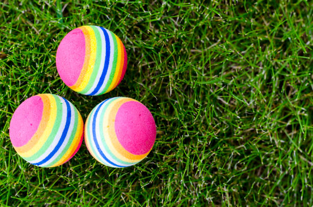 istock Colored little balls for cats, dogs on green grass. 1255454763