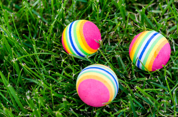 istock Colored little balls for cats, dogs on green grass. 1255454764
