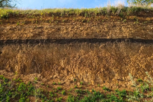 soil slice in a quarry. visible soil layers. traces of sedimenta - cast in stone imagens e fotografias de stock