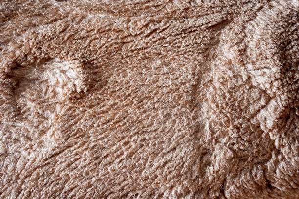 istock Clean gray carpet texture. Top view gray carpet texture detail 1255460181