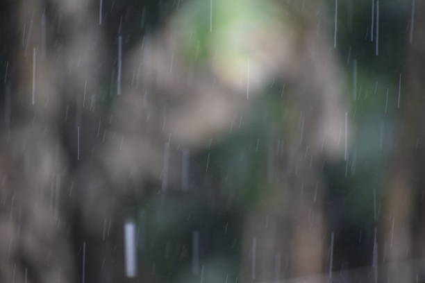 istock Rainwater falls among the green nature 1255466197