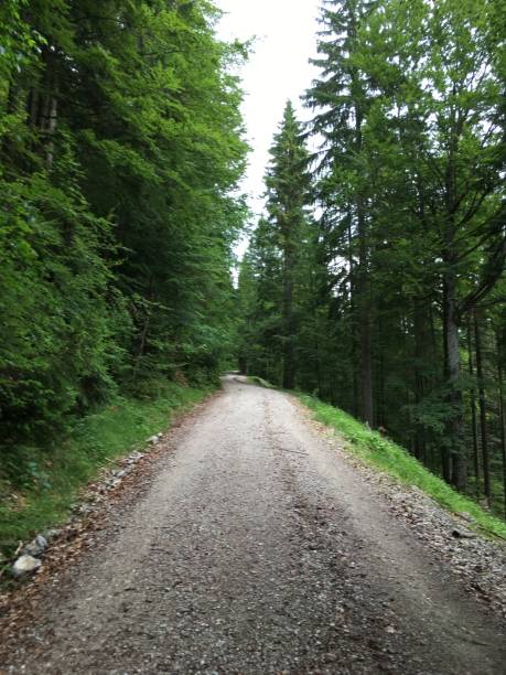 istock The Bavarian lake Walchensee in the summer 1255467274