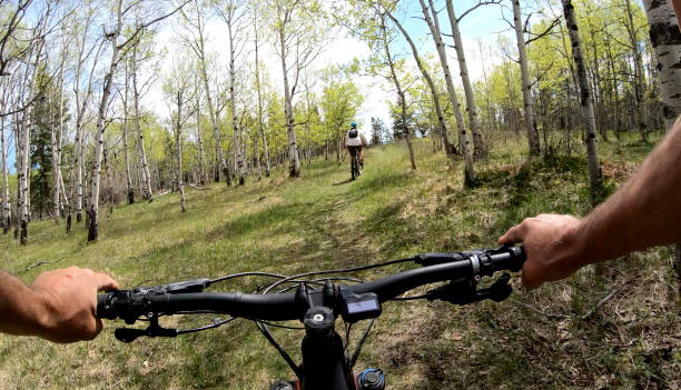 istock Couple on mountain e-bikes follow trail through forest 1255467431