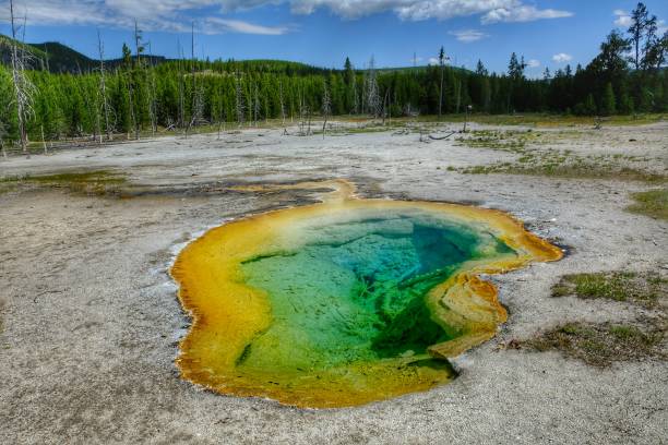 istock Colorful geothermal pool/spring in Yellowstone National Park 1255467505