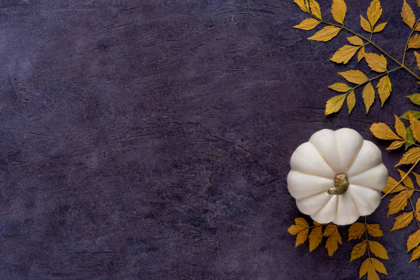 Autumn, Thanksgiving background with white pumpkin and leaves . Top view with space for text