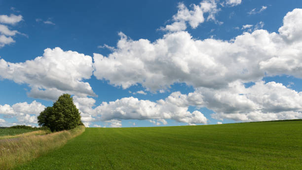 Impressive sky with cumulus clouds over a rural landscape Impressive sky with cumulus clouds over a rural landscape.
Germany, Hessen near Kirtorf horizon over land stock pictures, royalty-free photos & images