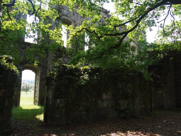 istock Old stone facade of abandoned palace 1255470285