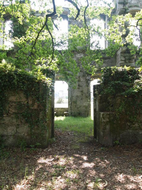 istock Old stone facade of abandoned palace 1255470288