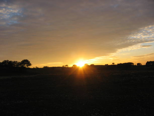 istock Sunset over grove in south Portugal 1255472554