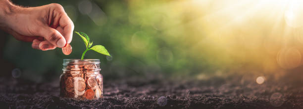 istock Hand Adding Penny To Coin Jar With Plant 1255473643