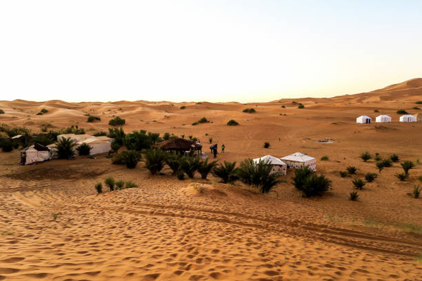 istock camels in desert, photo as background 1255473762