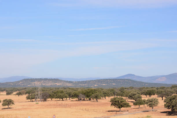 istock European natural countryside 1255473802