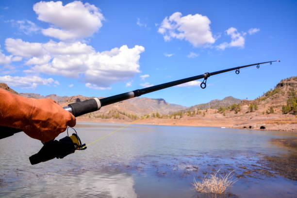 istock Fishing with rod on lake 1255473864
