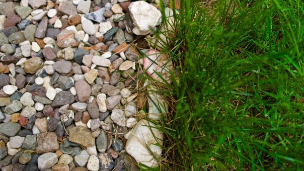 istock Lawn and pebble arrangement in the garden 1255474084
