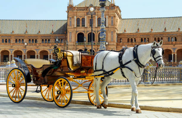 Horse-drawn carriage at Plaza de Espana, Seville Horse-drawn carriage at Plaza de Espana, Seville, Spain animal drawn stock pictures, royalty-free photos & images