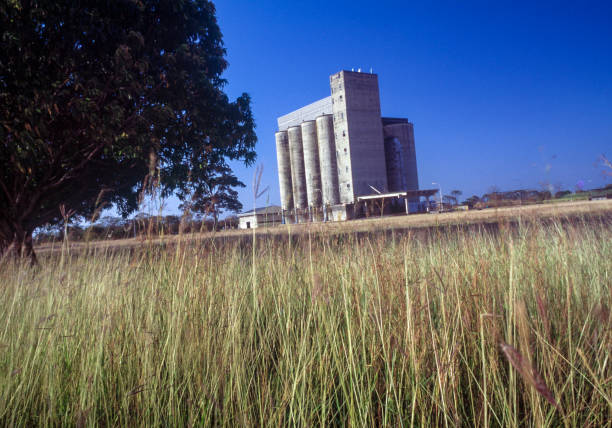 silo in farm, venezuela - 11206 imagens e fotografias de stock