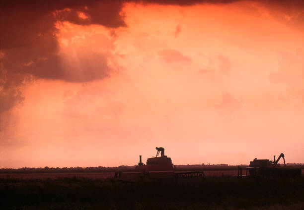 Combine harvester in rice field, Portuguesa state, Venezuela