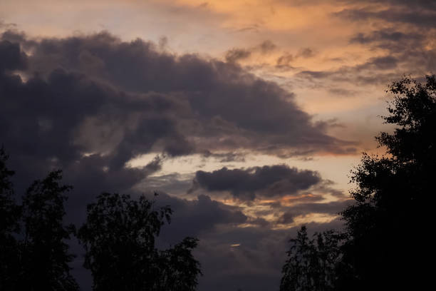 istock Sky at sunset against background of birch trees. 1255496008