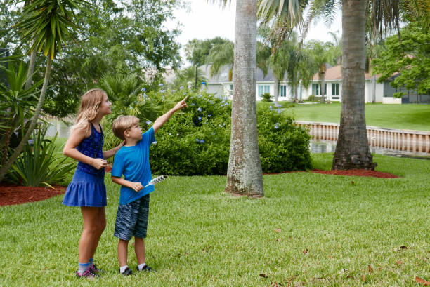 niños fuera explorando la naturaleza en su vecindario - scavenger hunt fotografías e imágenes de stock