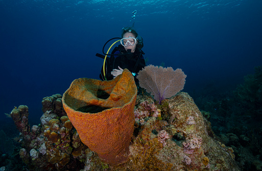 Caribbean coral reef and diver in Grand Cayman - Cayman Islands