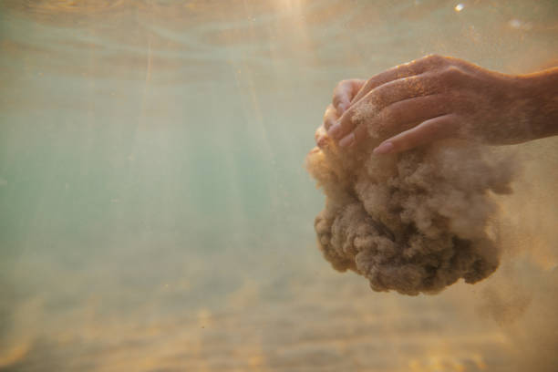 Girl holds a very tiny sand dollar seashelll on the tip of her finger while tidepooling along the Pacific Ocean coast, Vancouver Island, British Columbia, Canada