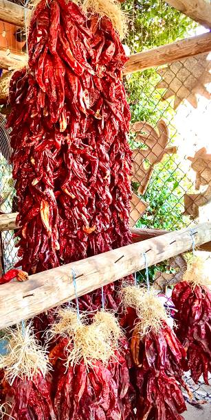 istock Hanging New Mexico Chilies 1255518809