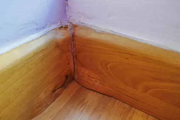 The wood skirting board became swelling because of the water damage incident occurs.