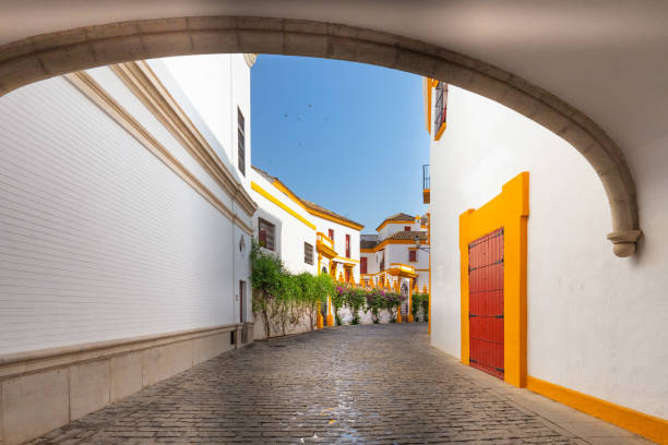 istock Seville, Spain - Architecture barrio Santa Cruz district 1255530672