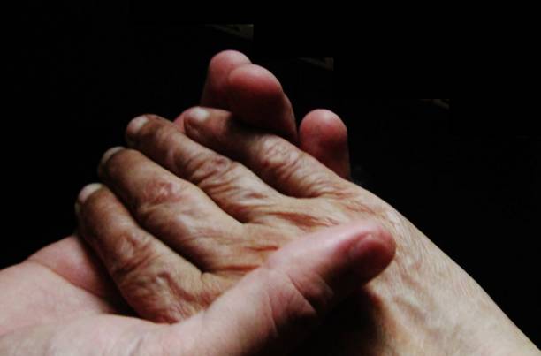 istock Take care of the elderly.... 1255532357