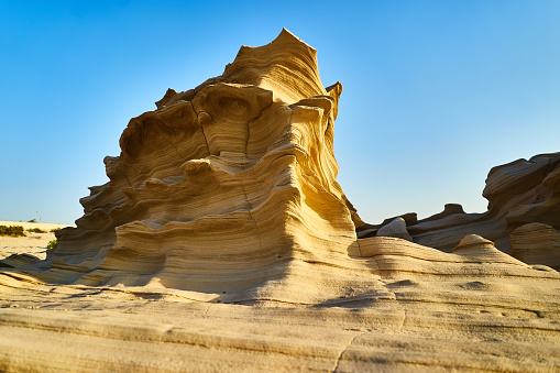 Abu Dhabi dunes