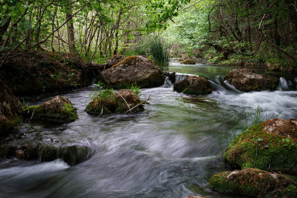 istock Full-flowing river in a green sunny forest. 1255536067