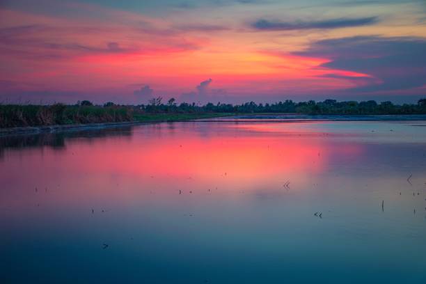 istock Reflection in Water of Farm Against Sky During Sunset 1255536250