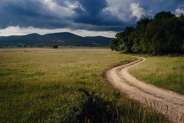 istock Beautiful country road before a thunderstorm at sunset. 1255536418