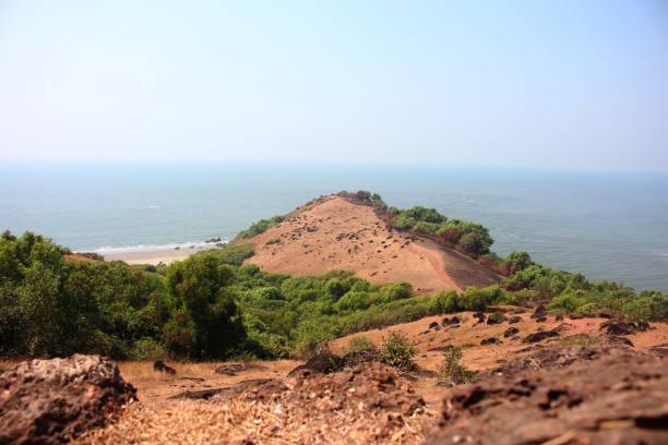 istock Arabian Sea 1255536750