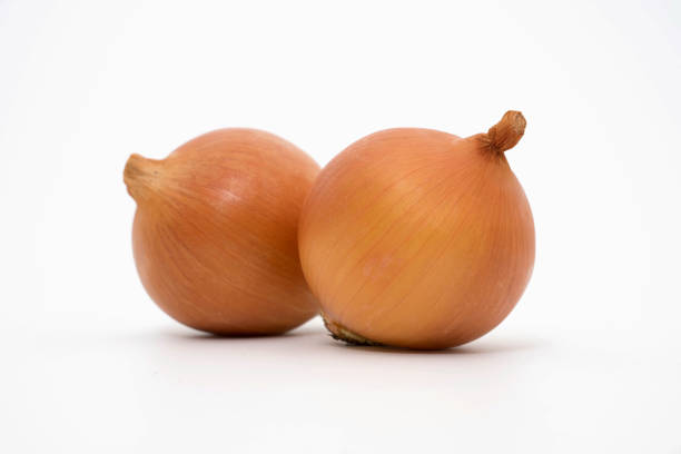 istock onions isolated on white background 1255538884