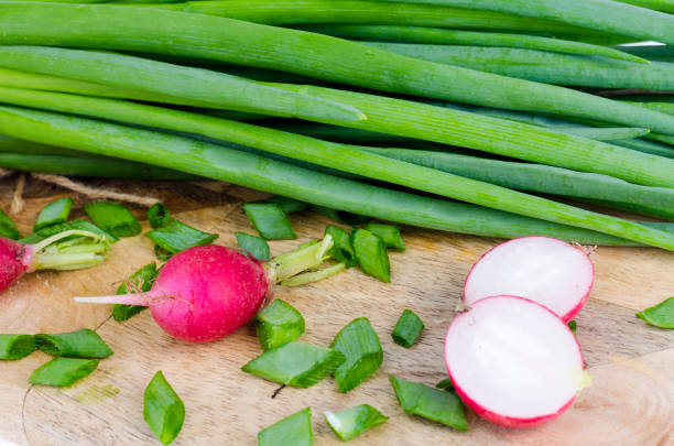 Fresh green onions, red radish on cutting board. Studio Photo