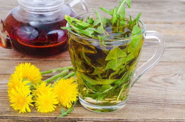 istock Cup of tea from fresh dandelion leaves. 1255541617