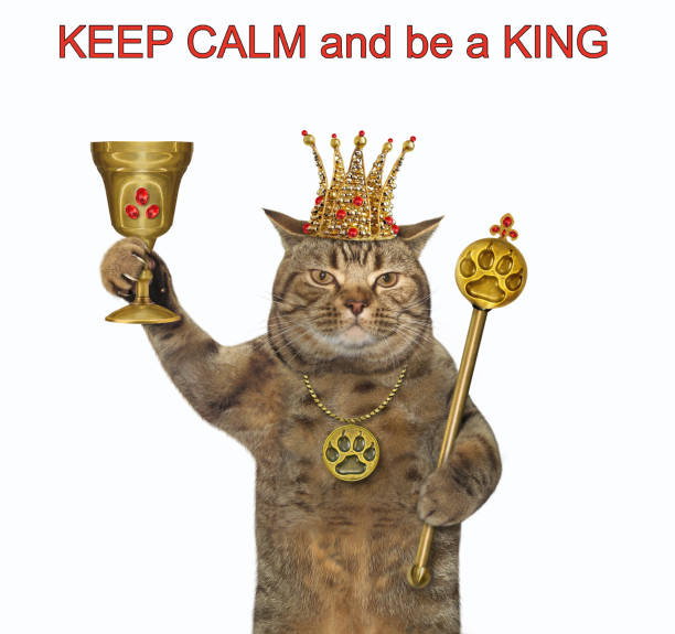 istock Cat king with goblet and scepter 2 1255544133