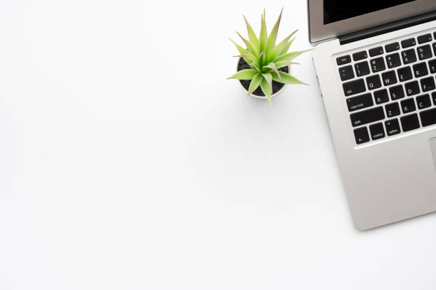 istock White minimalist office desk table with laptop computer and cactus pot. Top view with copy space, flat lay. 1255546490