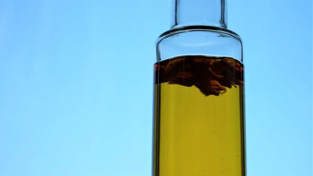 istock Olive oil in a bottle 1255549859
