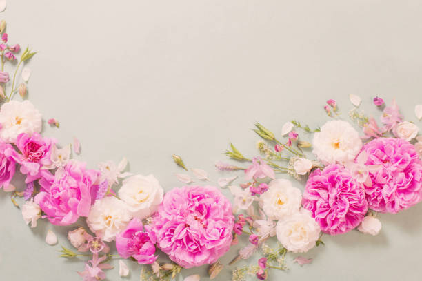 istock pink and white roses on paper background 1255550991