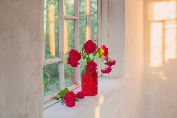 istock red roses in red glass vase on windowsill 1255551012