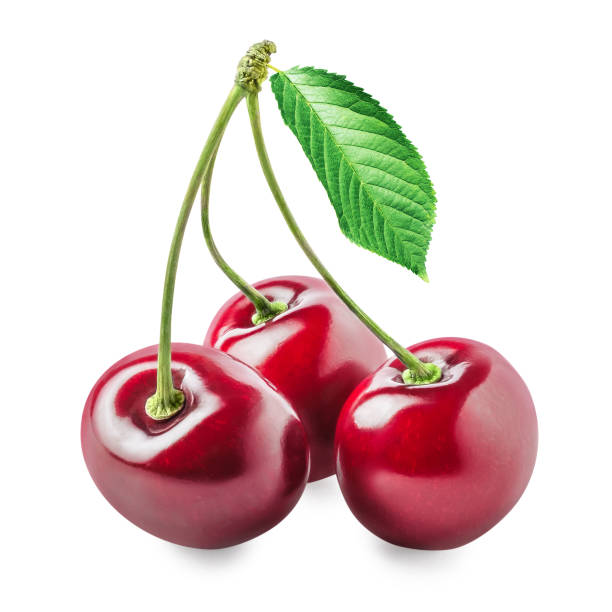 Three cherry fruits isolated on white background.