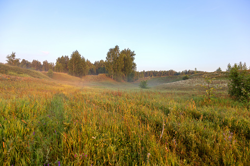 Beautiful authentic morning landscape with a slight mist in the meadow, sunlit.